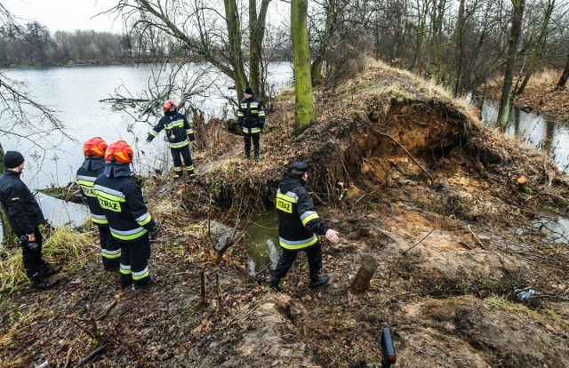 Do przerwania wału przeciwpowodziowego w Bydgoszczy, na długości około 6 metrów, doszło we wtorek (11 grudnia) na południowym brzegu akwenu zwanego małym karpnikiem u zbiegu ulic Toruńskiej i Łęgnowskiej. ➤➤ WIĘCEJ ZDJĘĆ NA NASTĘPNYCH STRONACH ➤➤- Zgłoszenie mieliśmy o godz. 10.55 - mówi mł. ogniomistrz Marcin Szirm z Komendy Miejskiej Państwowej Straży Pożarnej w Bydgoszczy. - Do rozszczelnienia wału doszło przy ul. Toruńskiej na wysokości posesji 316. By woda nie przedarła się na działki, a potem na teren oczyszczalni ścieków, podjęto działania. Urząd Miasta organizował worki z piaskiem. - Na miejsce przybyła też kompania słuchaczy Szkoły Podoficerskiej PSP w Bydgoszczy, którzy pomagali w zabezpieczeniu wału. Worki z piaskiem trzeba było przenieść od drogi około 300 metrów - mówi asp. sztab. Krystian Pietrzak.Na miejscu pojawili się też bydgoscy policjanci, którzy zabezpieczali miejsce zdarzenia.AKTUALIZACJA, wtorek, godz. 17.30Udało się doraźnie zatamować wyrwę w wale. Strażacy ułożyli około 1000 worków z piaskiem. Sytuacja była groźna, bo rozlewisko zajęło teren dawnych działek i docierało już do oczyszczalni ścieków. Strażacy powoli kończą już działania. Dalsze prace związane z naprawianiem wału i udrożnianie rury, która uchodzi do starego nurtu Brdy, prowadzić będzie już miasto.AKTUALIZACJA, godz. 16.20Wycięto wąski pas drzew. Dotychczas ułożono już 400 worków z piaskiem. Jak szacują strażacy, zabezpieczanie wału potrwa jeszcze kilka godzin.AKTUALIZACJA, godz. 15.30Jak przekazali nam strażacy, trwa torowanie drogi do miejsca, gdzie przerwany jest wał. Trzeba wyciąć niektóre drzewa, aby worki z piaskiem można było dostarczyć we wskazane miejsce.AKTUALIZACJA, godz. 13.30- Do przerwania wału na długości około 6 metrów doszło na południowym brzegu akwenu zwanego małym karpnikiem u zbiegu ulic Toruńskiej i Łęgnowskiej - mówi asp. sztab. Krystian Pietrzak z Komendy Miejskiej Państwowej Straży Pożarnej w Bydgoszczy. - Między tym akwenem a oczyszczalnią ścieków są działki. Na razie woda rozlewa się na tereny podmokłe blisko działek. Strażacy są w pełnej gotowości. Na miejscu jest też Komendant Miejski PSP oraz Oficer Operacyjny. By woda nie przedarła się na działki, a potem na teren oczyszczalni ścieków, podjęto już działania. - Urząd Miasta organizuje worki z piaskiem - mówi asp. sztab. Krystian Pietrzak. - Na miejsce przybyła też kompania słuchaczy Szkoły Podoficerskiej PSP w Bydgoszczy, którzy będą pomagali w zabezpieczeniu wału. Worki z piaskiem trzeba bowiem przenieść od drogi około 300 metrów.(Małgorzata Pieczyńska)FLESZ: Plastik za 3 lata będzie nielegalny