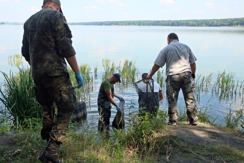 Terytorialsi i strażacy łowią martwe małże w Zalewie Zemborzyckim