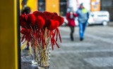 Życzenia na Walentynki 2020 dla Niej i dla Niego: romantyczne wierszyki i życzenia na Walentynki