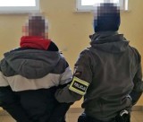 Ostrołęka. Wybił szybę w aucie, bo kierowca zwrócił mu uwagę. Został zatrzymany przez policję. Okazało się, że ma więcej na sumieniu