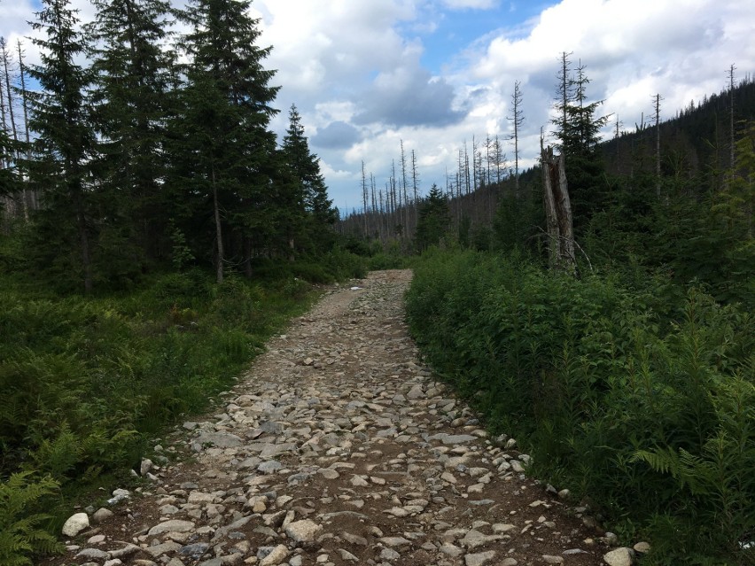 Tatry. Turystów na górskich szlakach jest sporo, ale tłumów (na szczęście) nie spotkamy