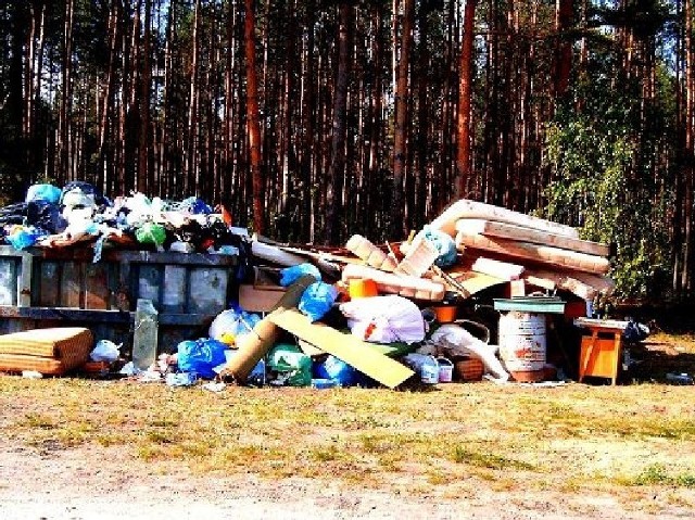 Sfotografowana przez naszego Czytelnika jedna z gór śmieci, które zalegały w Jodłowie przez cały majowy długi weekend.