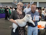 Międzynarodowa Wystawa Kotów Rasowych w Białymstoku. Zobacz kocie piękności z całego świata
