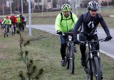 Grudziądz jest coraz bliżej "odjazdowej" ścieżki rowerowej 