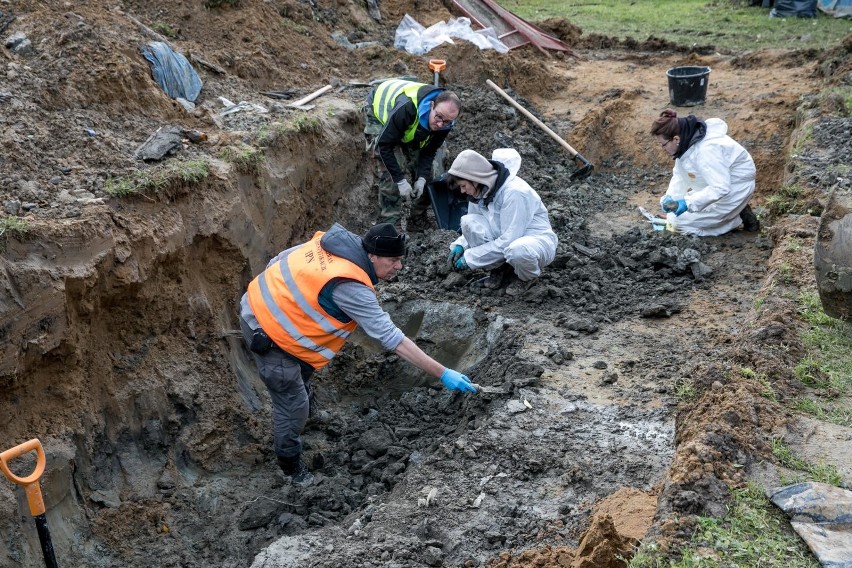 Kraków. IPN ekshumuje setki ludzkich szczątków na cmentarzu Rakowickim