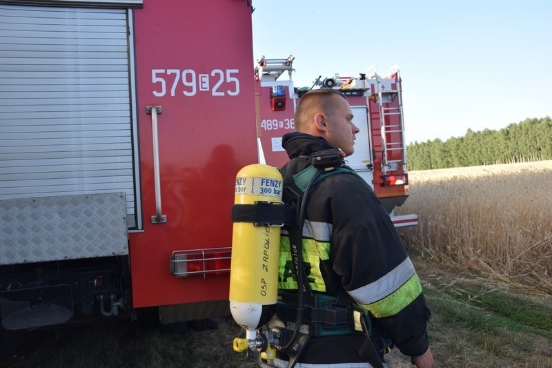 Pożar wysypiska śmieci w Mostkach koło Zduńskiej Woli