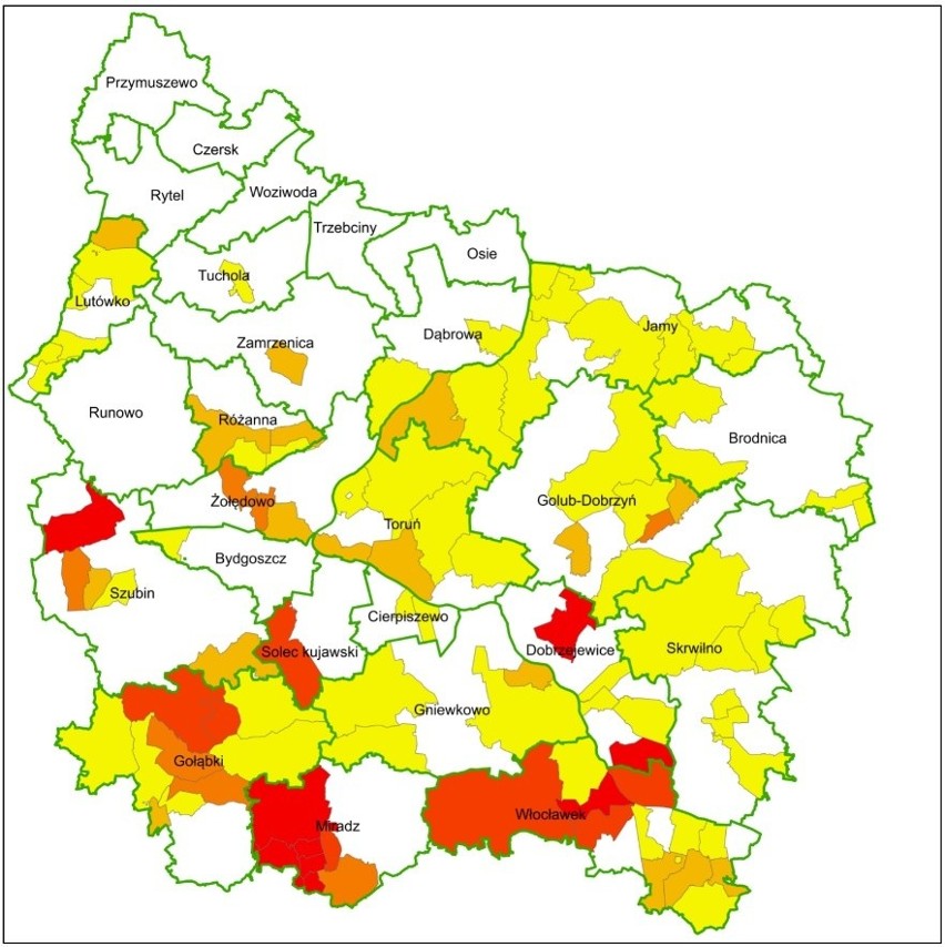 Kornik ostrozębny i kornik drukarz niszczą lasy w Polsce! Zagrożonych aż milion hektarów 