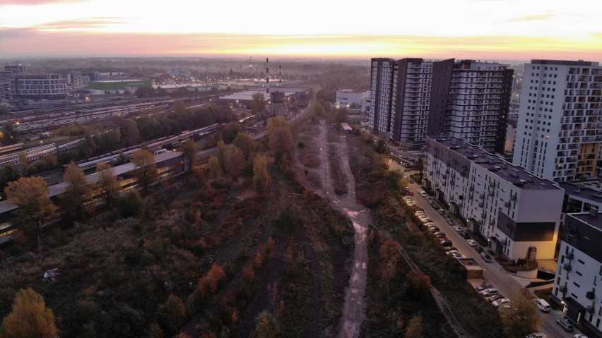 Park Henrykowski we Wrocławiu.