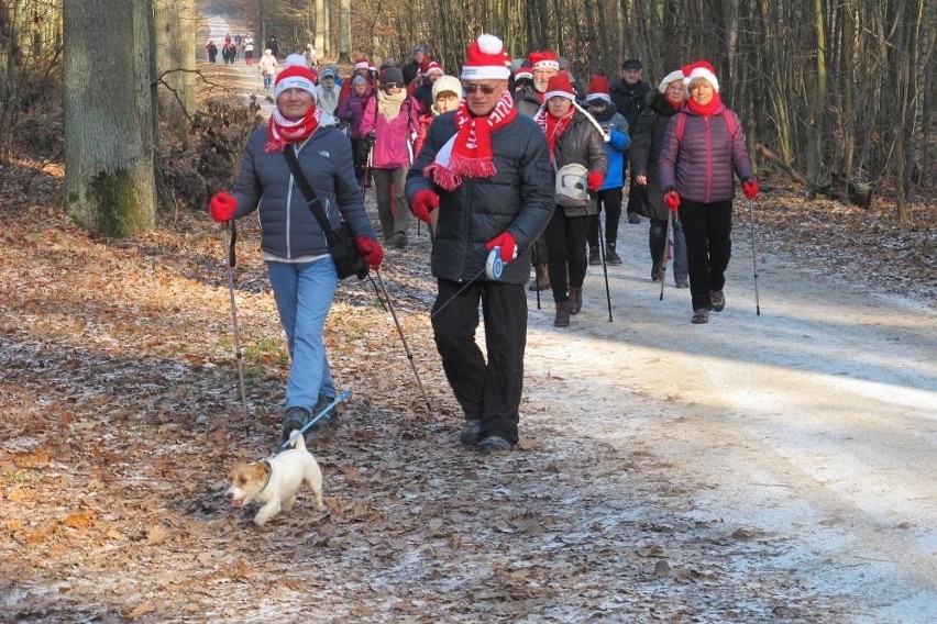 Dwieście osób uczestniczyło w Marszu z Mikołajem przez Puszczę Kozienicką