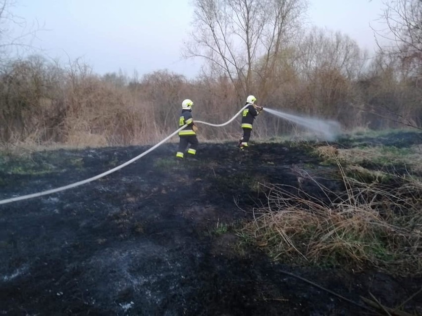 Zarzucają strażakom z OSP Buszkowice pod Przemyślem, że druhowie sami podpalają trawy. "Chcielibyśmy zaprzeczyć temu oszczerstwu"
