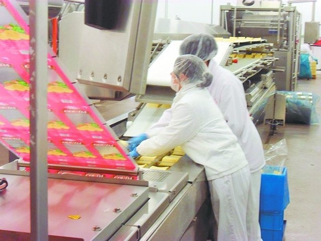 W Mlekovicie, podobnie jak w innych zakładach mleczarskich, postawiono na zwiększanie wydajności pracy i obniżanie kosztów