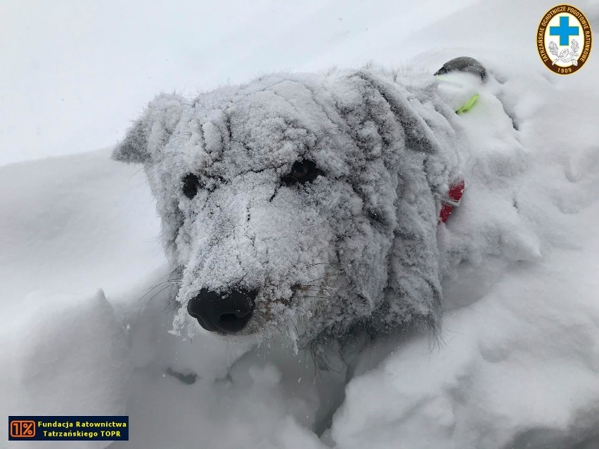 Tatry. Zobacz, jak wyglądały poszukiwania zaginionego turysty [ZDJĘCIA]