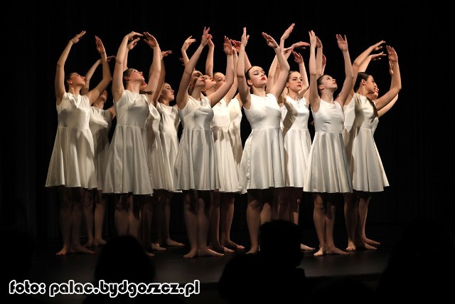 Zespół BRAX VI tworzy 16 uzdolnionych tanecznie dziewcząt. To jedna  z grup utytułowanego zespołu BRAX, który od 30 lat działa przy bydgoskim Pałacu Młodzieży.