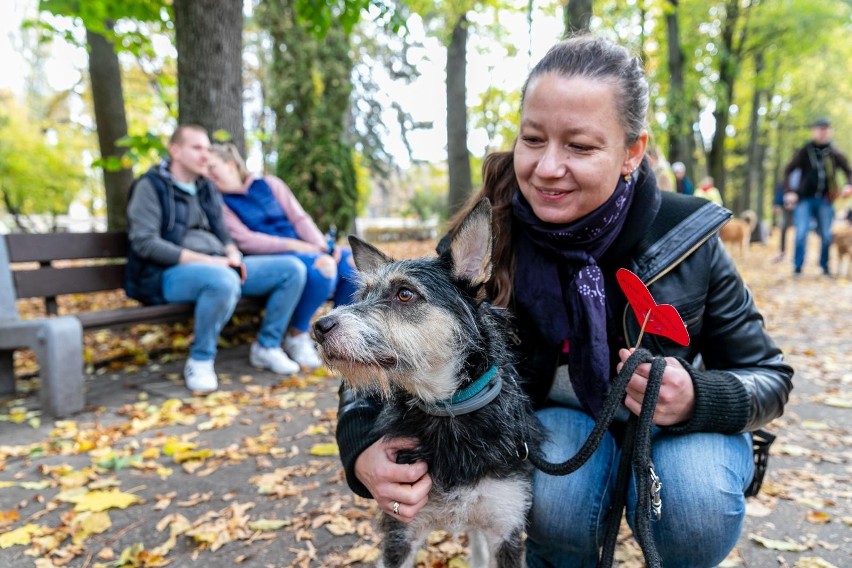 Spacer psów i ich opiekunów. "Parada Adopciaków" w Parku...