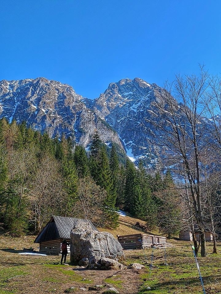 Tatry. Zobacz jak wygląda Dolina Strążyska po kwarantannie. To tam możemy legalnie wejść 