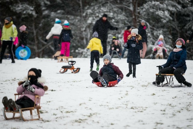 Na kolejnych zdjęciach znajdziesz przegląd wybranych ofert zajęć dla dzieci organizowanych podczas ferii zimowych na Podkarpaciu