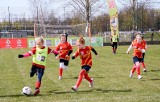 Z Podwórka Na Stadion o Puchar Tymbarku. Nie tylko młodzi chłopcy marzą o tym, by zagrać na PGE Narodowym