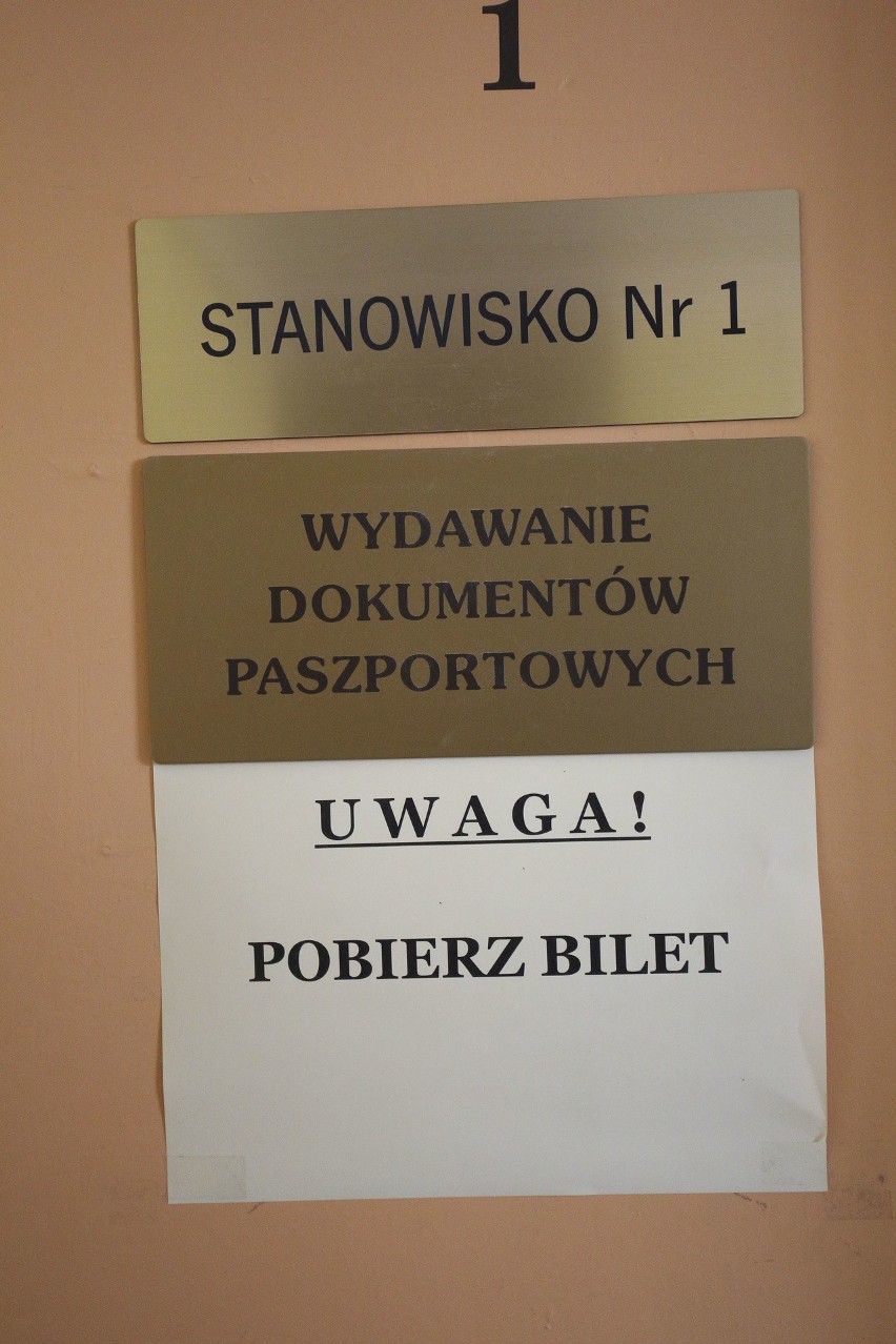 Białystok. Gigantyczne kolejki po paszport. Ludzie przychodzą po numerek o świcie (zdjęcia)