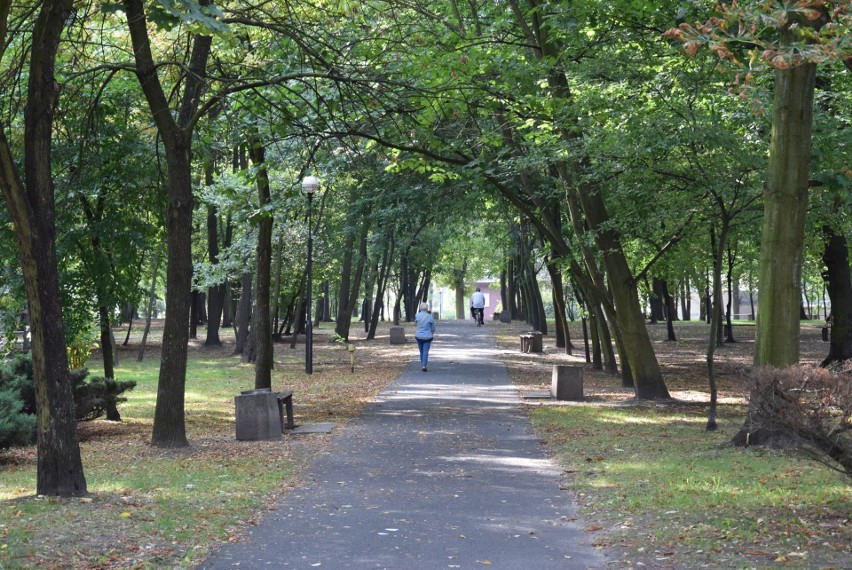 Park miejski w Oleśnie.
