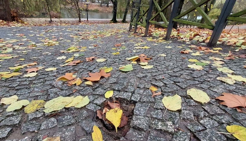Ścieżki w parku w Koszalinie do remontu. Z miejskiej kasy ubędzie 30 tysięcy złotych 