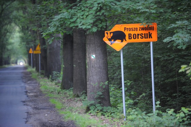 Przed czterema laty w gminie ustawiono znaki informujące o nowych „mieszkańcach”. Wciąż trzeba na nich uważać.