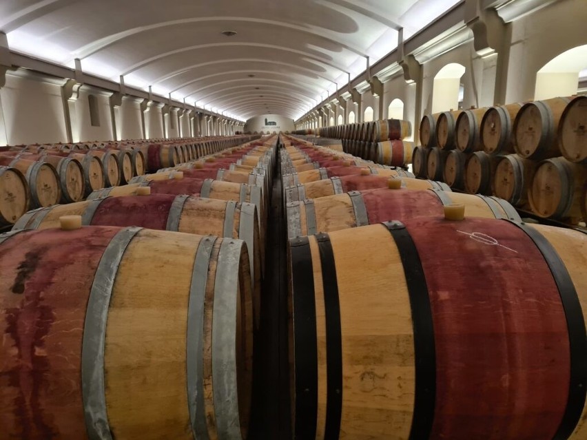 Jesiennie zbiory winorośli to znakomita okazja do odwiedzenia polskich winnic. „Tradycje produkcji wina w Polsce sięgają X wieku” 
