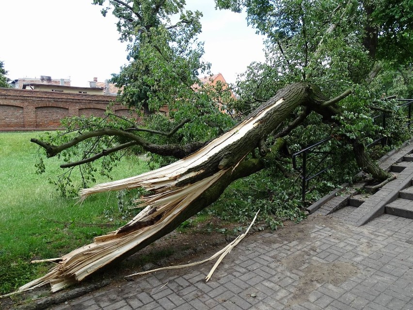 Trwa usuwanie skutków silnego wiatru w Chełmnie