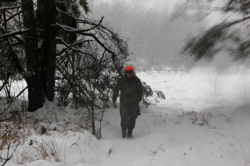 Aktywiści zablokowali polowanie na granicy Bytomia i...