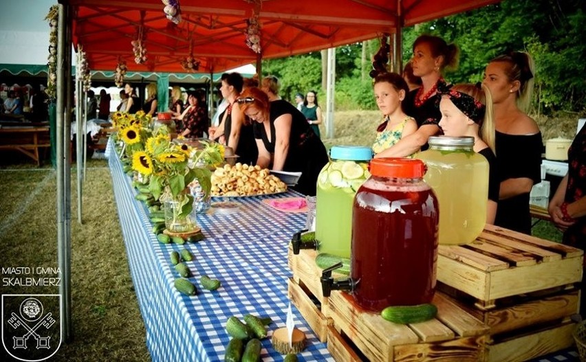 Ogórek... na festiwalu - huczna impreza w Drożejowicach [ZDJĘCIA]