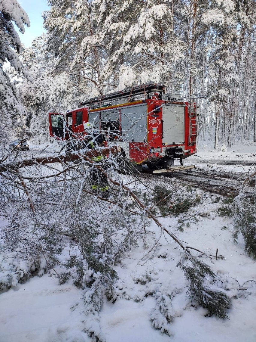 Ciężki śnieg łamał konary i gałęzie. Strażacy ponad sto razy...