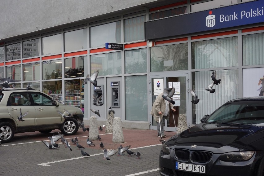 Gołębie opanowały centrum Łodzi. Łodzianie boją się tam parkować