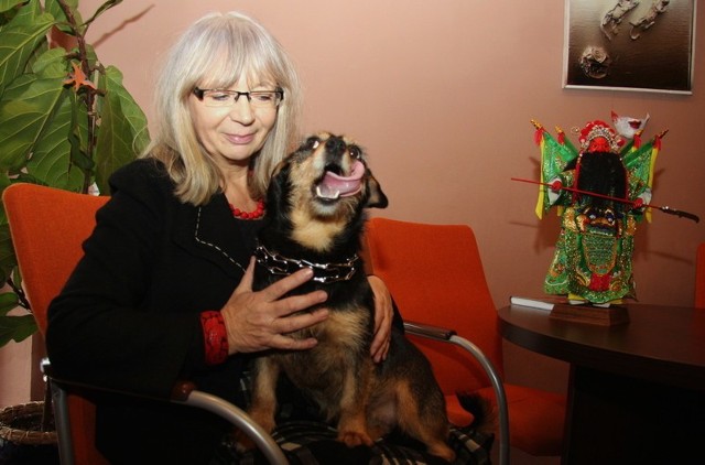 Irena Dragan wzięła psa ze schroniska w Poznaniu, bo jego stronę znalazła bez trudu a na niej aktualne i zachęcające do adopcji informacje.