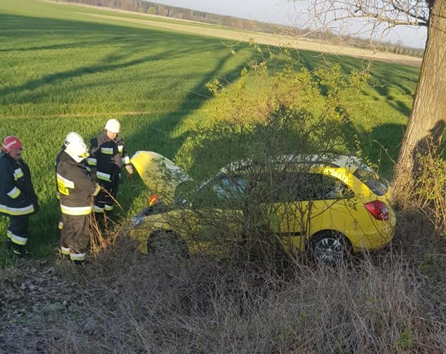 Dramatyczne sceny rozegrały się na drodze między Łagowcem, a Starym Dworem. W środę, 10 kwietnia, kierowca samochodu osobowego chciał ominąć psa, który wybiegł na jezdnie. Manewr zakończył jednak w przydrożnym rowie. Na miejsce przyjechali strażacy z OSP Lutol Suchy i Brójec, były też dwa zastępy strażaków zawodowych z Międzyrzecza. Wezwano też policję i pogotowie. Kierowca samochodu z lekkimi obrażeniami został przewieziony do szpitala. Zobacz też wideo: Pijany Romeo i Julia na rowerach w gminie Drezdenko. On miał 1,5, ona 4 promile