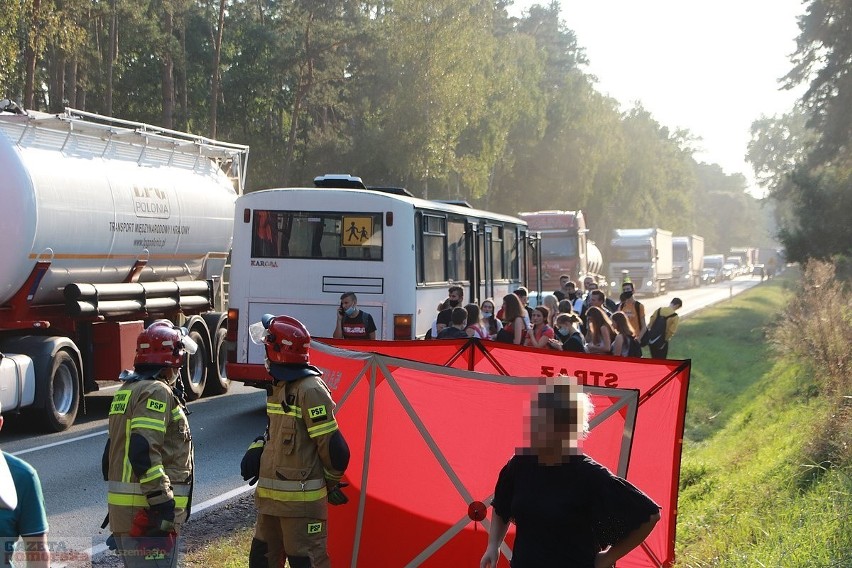 Wypadek pod Włocławkiem. Jeleń wpadł w autokar przewożący...