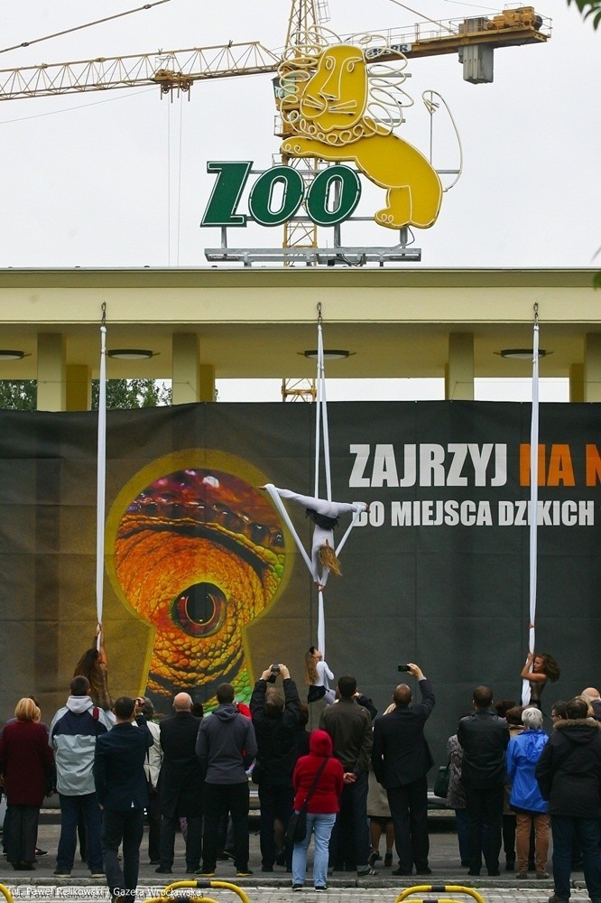 Wrocław: Główna brama do zoo znów otwarta (ZDJĘCIA)