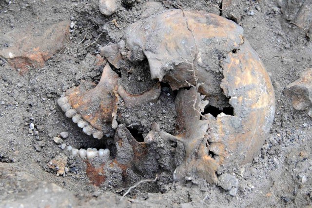 Jedna z pierwszych czaszek znaleziona podczas ekshumacji w Łucku.
