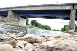 Stan rzek w Wielkopolsce: Niski poziom wód w wielkopolskich rzekach. Jaki jest poziom wody w Warcie, Wełnie, Noteci, Gwdzie i Prośnie?