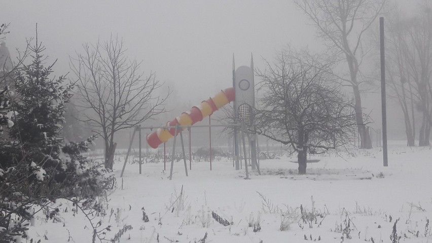 Tak obecnie wygląda Park Jedności na Zakrzowie