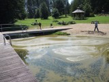 Zakaz kąpieli w Świeszynie - glony (wideo, zdjęcia)