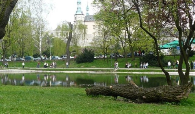 Piknik odbędzie się w Parku Miejskim w Kielcach