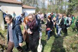Spacer po Cmentarzu Żydowskim w Radomsku. To część akcji "Żonkile" Zespołu Szkół Ekonomicznych. ZDJĘCIA