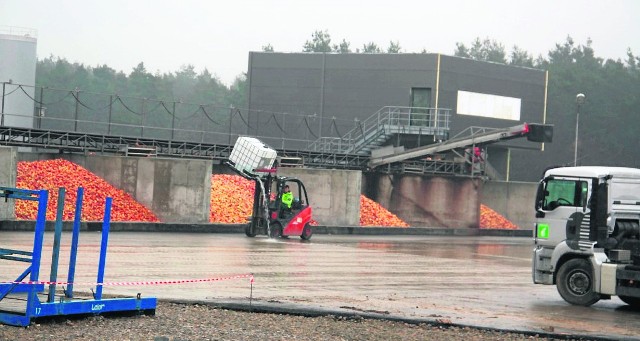 Gdy produkcja ruszy na dobre, w koprzywnickim zakładzie przerabianych będzie rocznie około 80 tysięcy ton jabłek.