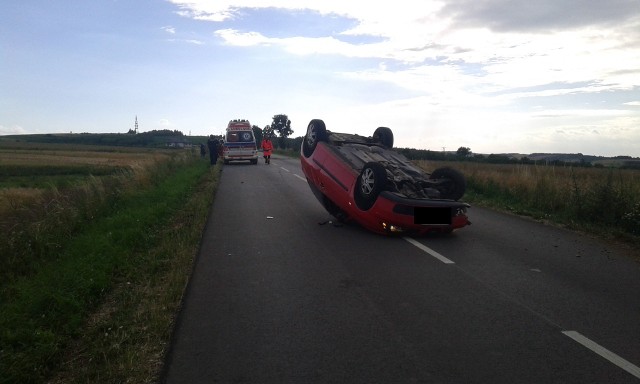 Zdjęcia otrzymaliśmy od pani Jolanty. Dziękujemy