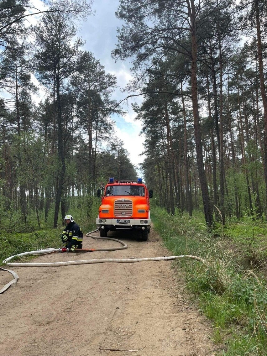 Kolejny pożar lasu w miejscowości Józefów. Dzień wcześniej...