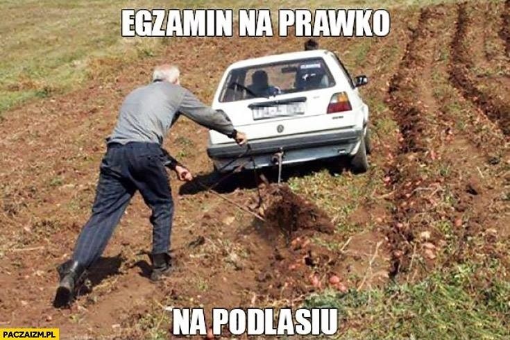 Jak wygląda podlaski Uber? Jak się u nas zdaje egzamin na...