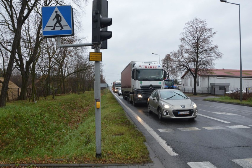 Rolniczy protest w powiecie łowickim. Hodowcy trzody chlewnej wyjechali ciągnikami na DK nr 92 [ZDJĘCIA]