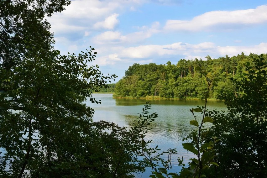 Sierakowski Park Krajobrazowy, znany jako kraina 100 jezior,...