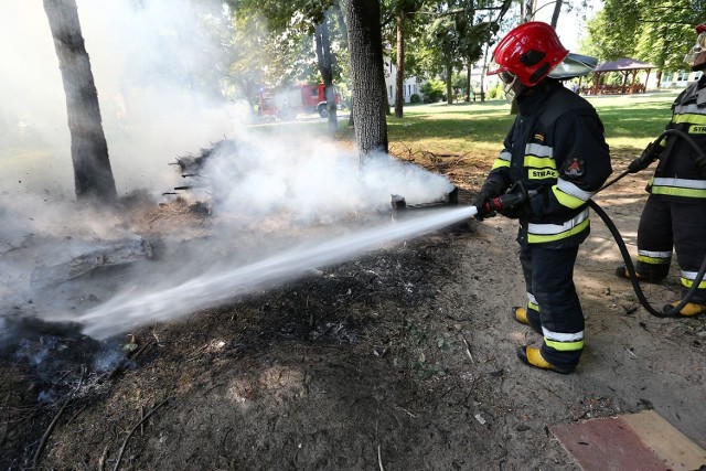 Strażacy gaszą podpalone drzewa i gałęzie, a mieszkańcy narzekają, że wandale sa bezkarni.