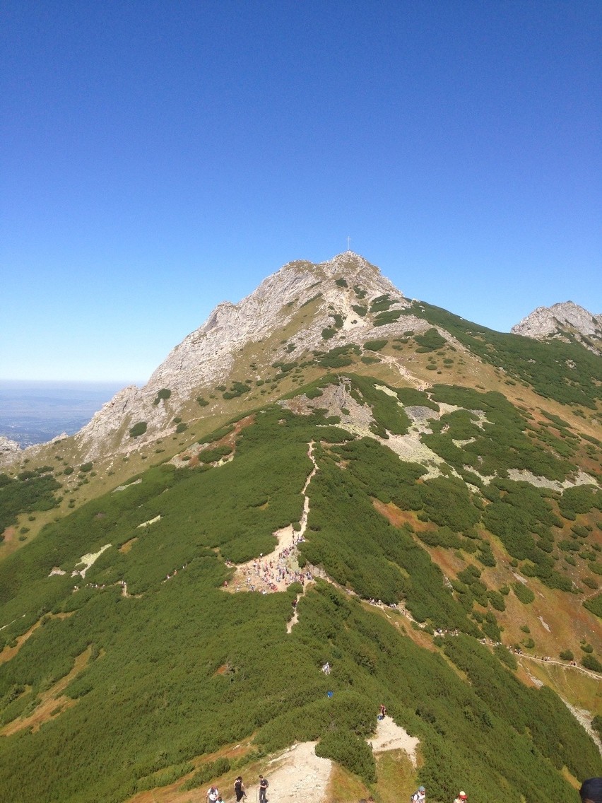 Giewont (ze szlakami dojściowymi) - 44 wypadki.