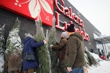 Oddali serce za choinkę. W ramach akcji "Podziel się ciepłem" rozdano świąteczne drzewka. Zobacz zdjęcia